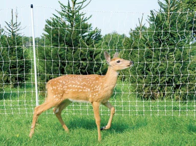 Lasikuituaidan pylväät viljelypeltojen villieläinten karkottamiseen: vankka tuki peura-aidalle ja villieläinten esteille