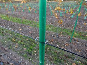 Lujat kustannustehokas lasikuitu Vineyard Post Pole